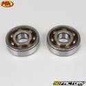 Crankshaft bearings and seals AM6 Metrakit