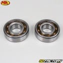 Crankshaft bearings and seals Derbi Metrakit 