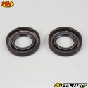 Crankshaft bearings and seals Derbi Metrakit 