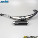 Exhaust Polini Evolution Aprilia RS Rieju RS2 and Yamaha TZR