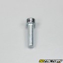 M5x20mm BTR tornillo de cabeza