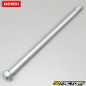 Swingarm pin and rear wheel Derbi Senda,  Gilera Smt, Rcr, Aprilia Sx, Rx