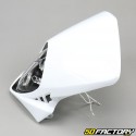 White Duke headlight fairing