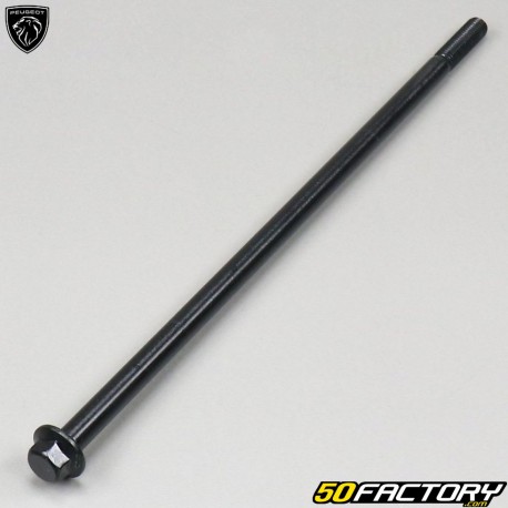 Axe de support moteur Peugeot Vivacity 3, Citystar 50 2T