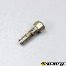 Daelim dip tube screw VS 125 (1997 to 2006)