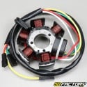 Ducati ignition stator AM6  et  DERBI  V2