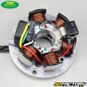 Ignition Stator  Top Performances Ducati type AM6 (mounting possible on Derbi)