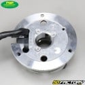 Ignition Stator  Top Performances Ducati type AM6 (mounting possible on Derbi)
