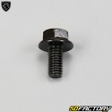 6x12mm fairing screw Peugeot Tweet,  Vivacity  3,  Speedfight...