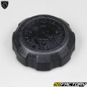 Tapa del tanque Peugeot Ludix, Vivacity  2,  Speedfight