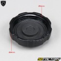 Tapa del tanque Peugeot Ludix, Vivacity  2,  Speedfight