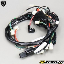 Wiring harness Peugeot Tweet 50 4T