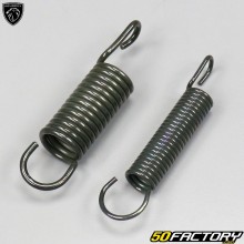 Side stand springs Peugeot Tweet 50 4T