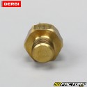 Sensor de temperatura Derbi Euro 2 e radiador