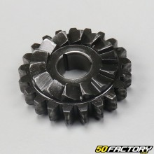 Engine kick sprocket AM6 minarelli