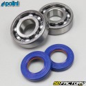 Crankshaft bearings and seals Derbi Polini