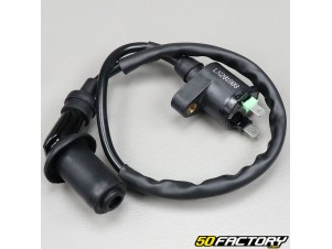 Bobine dallumage HT P2R pour Scooter Peugeot 50 Ludix 2004 /à 2020 Neuf