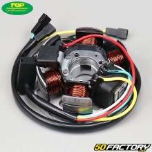 Stator Top Performances Derbi GPR  et  Aprilia  RS