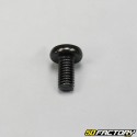 Screw M6x12mm Phillips head