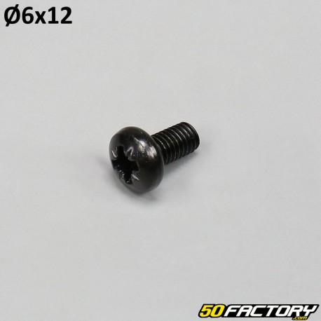 Screw M6x12mm Phillips head