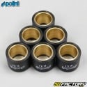 Rolos de inversor 8,1g 19x15,5mm Piaggio Zip,  Gilera Stalker... Polini