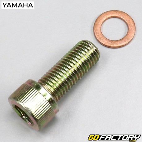 Parafuso para tubo de mergulho de forquilha Mbk Booster One,  Yamaha Bws Easy