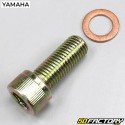 Fork dip tube screw Mbk Booster One,  Yamaha Bws Easy