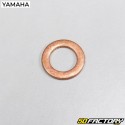 Fork dip tube screw Mbk Booster One,  Yamaha Bws Easy