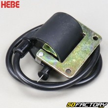 Ignition coil Peugeot,  Kymco,  Piaggio,  Sym...