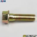 Screw 10x35mm rear shock absorber Sym Symphony 50 4T