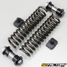 Fork springs with buffers (overhaul kit) Piaggio Ciao