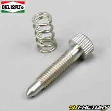 Vite del minimo del carburatore e molla PHBG Dellorto