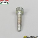 Carburetor idle screw and spring PHBG Dellorto