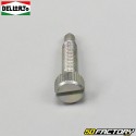 Carburetor idle screw and spring PHBG Dellorto