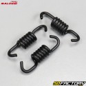 Clutch spring kit Piaggio air and liquid Typhoon, Nrg ... Malossi