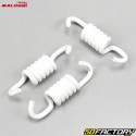 Clutch spring kit Piaggio air and liquid Typhoon, Nrg ... Malossi