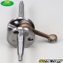 Albero motore con cuscinetti e guarnizioni Piaggio aria e liquido Typhoon, Nrg ... 50 2T Top Perf