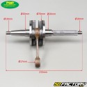 Albero motore con cuscinetti e guarnizioni Piaggio aria e liquido Typhoon, Nrg ... 50 2T Top Perf