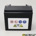 YTX20-BS 12V 18Ah Batteria gel artico Cat Bearcat, F8, Crossfuoco e Polaris Maiusc, RMK, Rush...