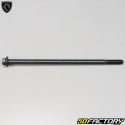 Axe support moteur Peugeot Kisbee, Vivacity 3, Speedfight 3 et 4... 50 2T