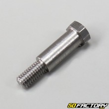 Universal brake and clutch lever screw