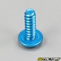 MBK fairing and crankcase screws Booster,  Yamaha Bws blue