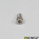 MBK fairing and crankcase screws Booster,  Yamaha Bws chrome