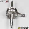 MBK di aria orizzontale e liquido motore albero motore Minarelli Nitro,  Ovetto,  Yamaha (asse Ø10mm) ... 50 2T Artek K-serie