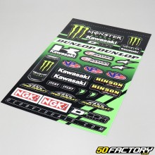 Team Kawasaki Sticker Board Monster  V2