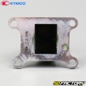Scatola con alette originali Kymco Agility  2t