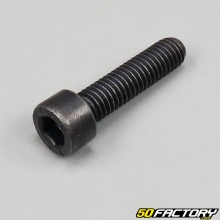 Tornillo de 6x25 mm cabeza BTR negro (por unidad)