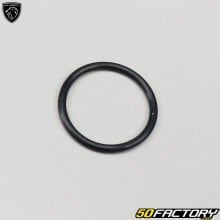 Lip seal for Timing chain guide screw for Motor  Vivacity  3,  Sym Orbit 2 ... 50 4T