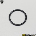 O-ring della slitta della catena di distribuzione del motore Vivacity  3,  Sym Orbit 2 ... 50 4T