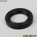 Brixton BX 125 Rear Wheel Spi